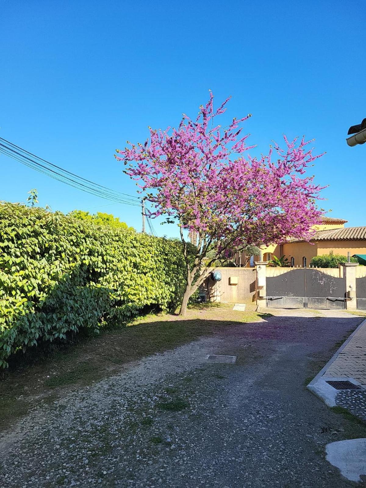 La Toscana Roquebrune Sur Argens エクステリア 写真